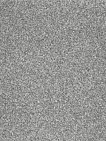 Ковролин AW Terra 96 фото 1 | FLOORDEALER